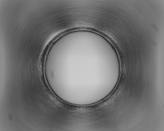 X0000115831022200911131123