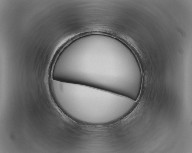 X0000115831024200911131123