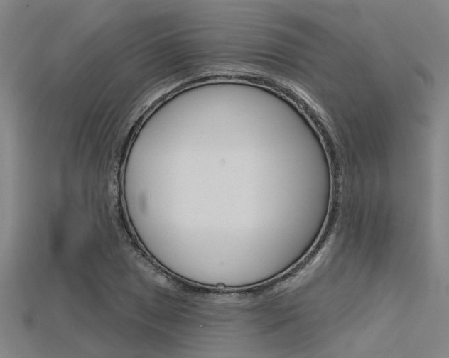 X0000115831025200911131123
