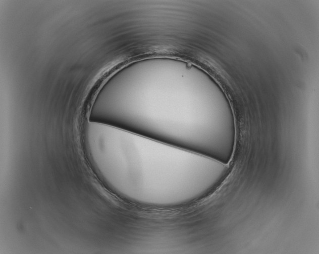 X0000115831026200911131123