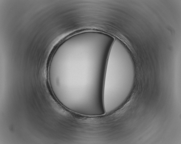 X0000115831028200911131123