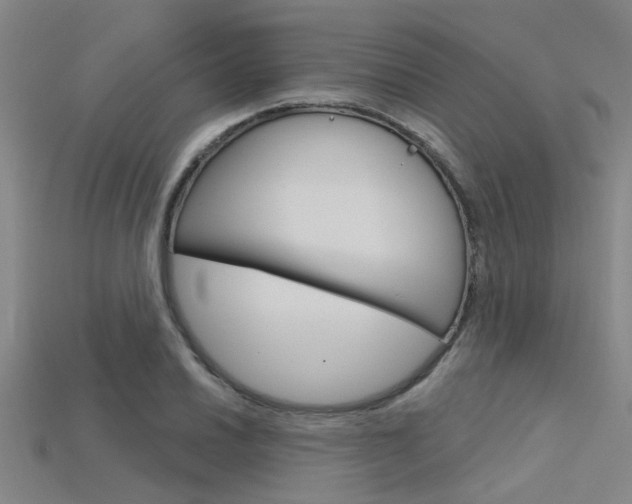 X0000115831030200911131123