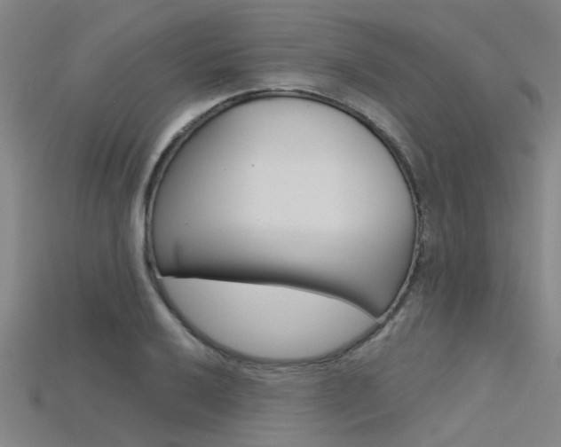 X0000115831032200911131123