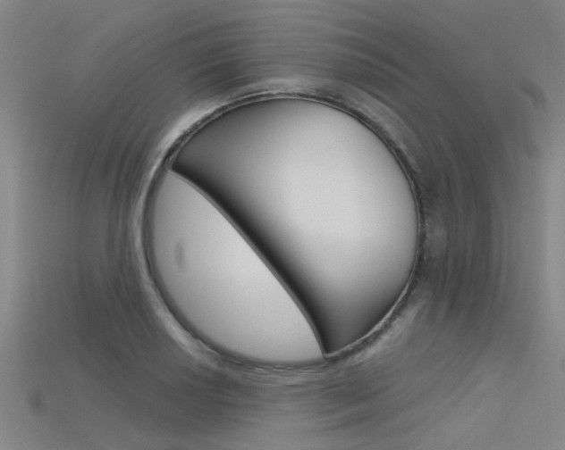 X0000115831034200911131123
