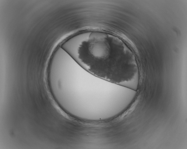 X0000115831037200911131123