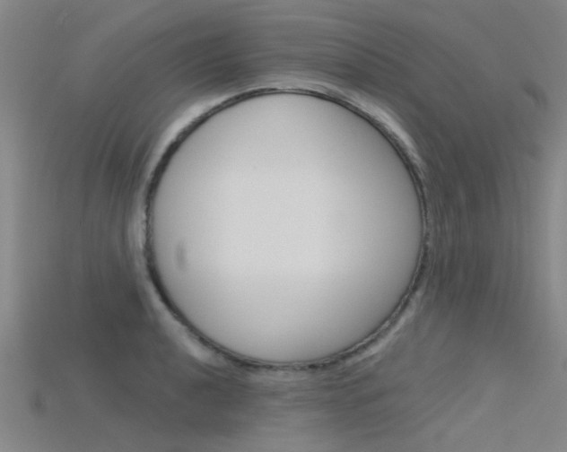X0000115831040200911131123