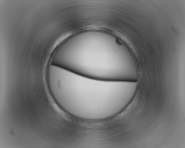 X0000115831042200911131123