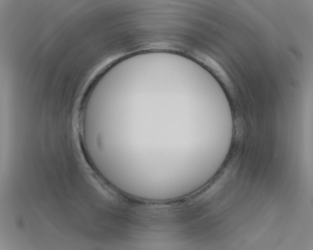 X0000115831043200911131123