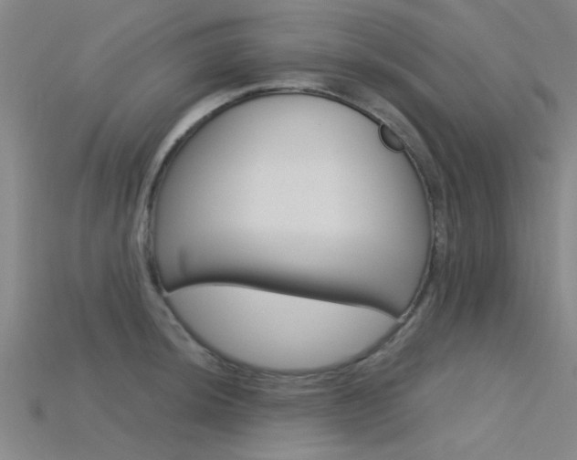 X0000115831044200911131123