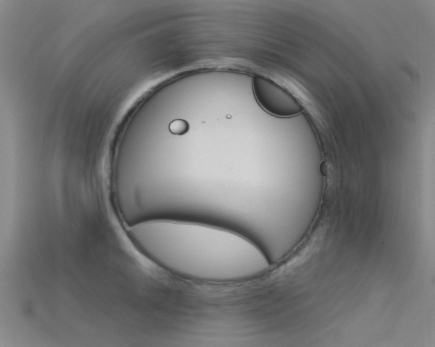 X0000115831046200911131123