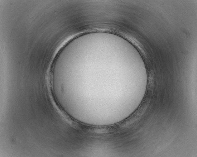 X0000115831047200911131123