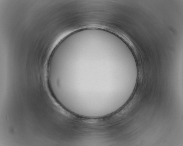 X0000115831048200911131123