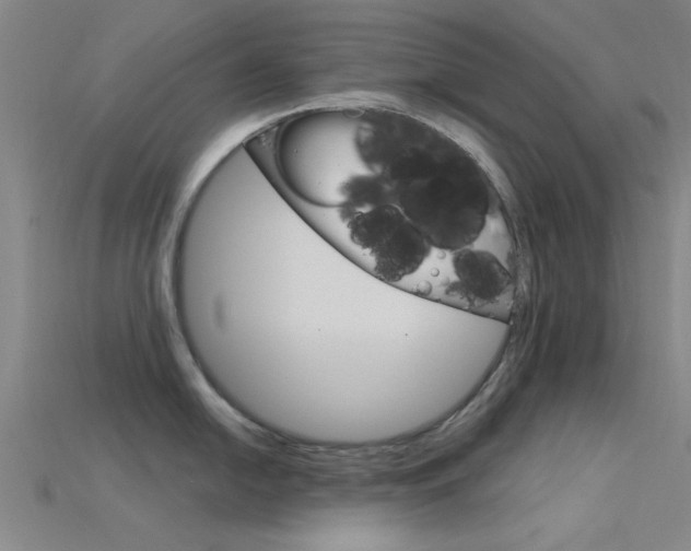 X0000115831054200911131123