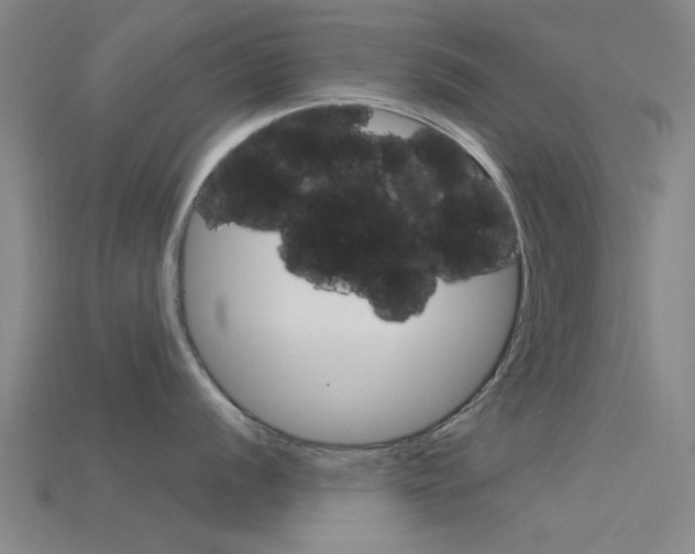 X0000115831056200911131123