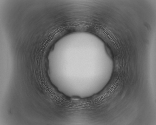 X0000115831057200911131123