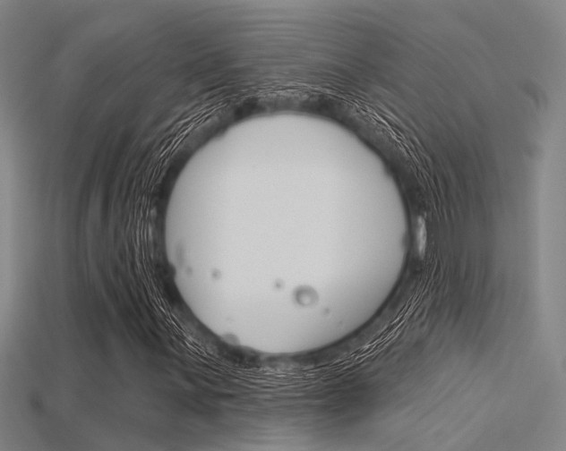X0000115831059200911131122