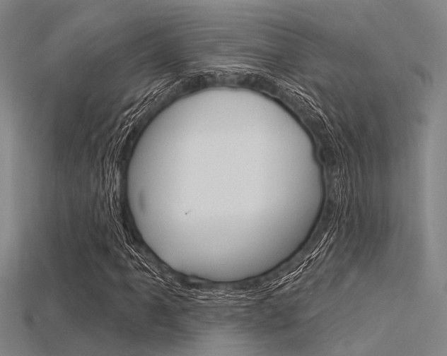 X0000115831061200911131122