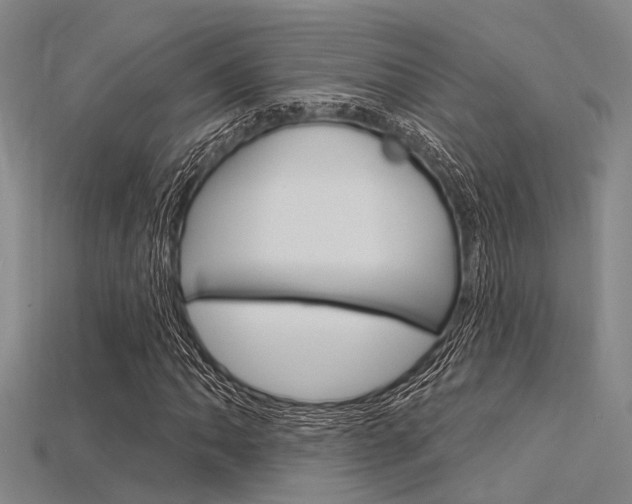 X0000115831062200911131122