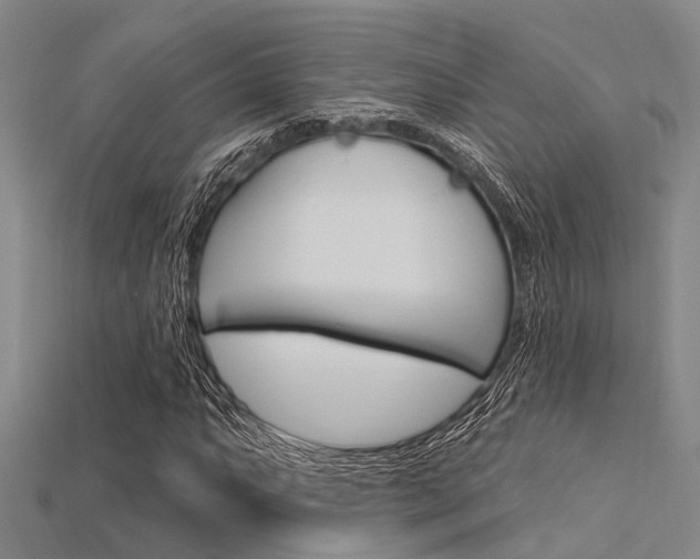 X0000115831063200911131122