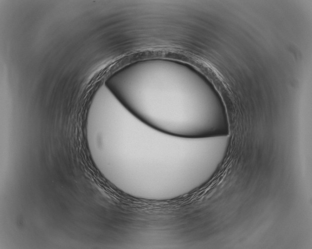X0000115831064200911131122