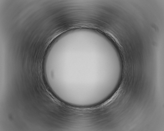X0000115831065200911131122
