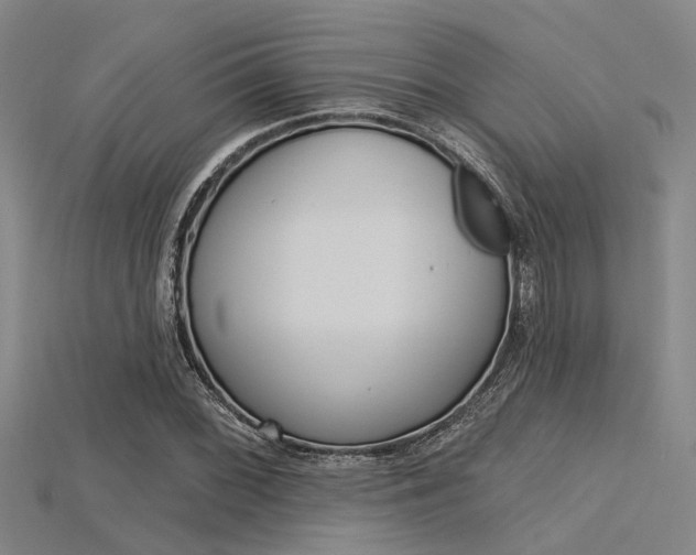 X0000115831068200911131122