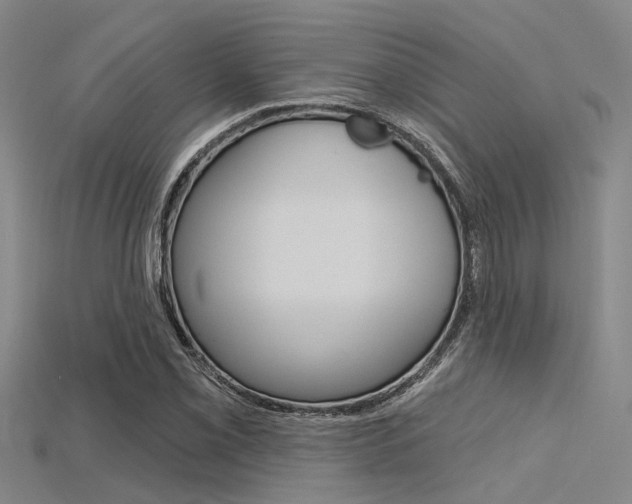 X0000115831069200911131122