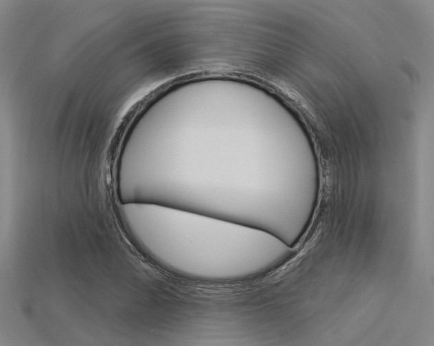 X0000115831070200911131122