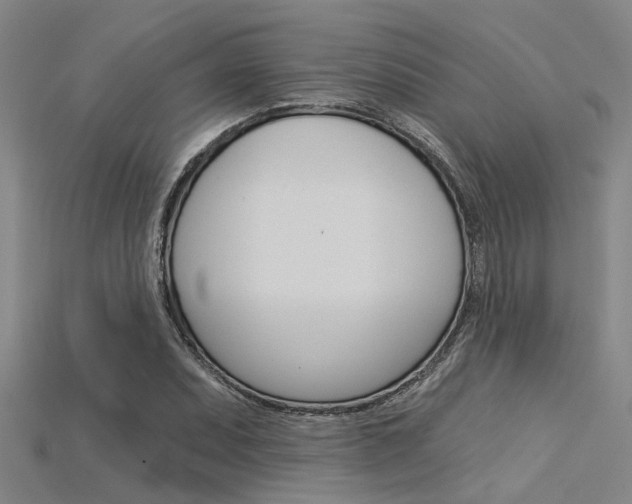 X0000115831071200911131122