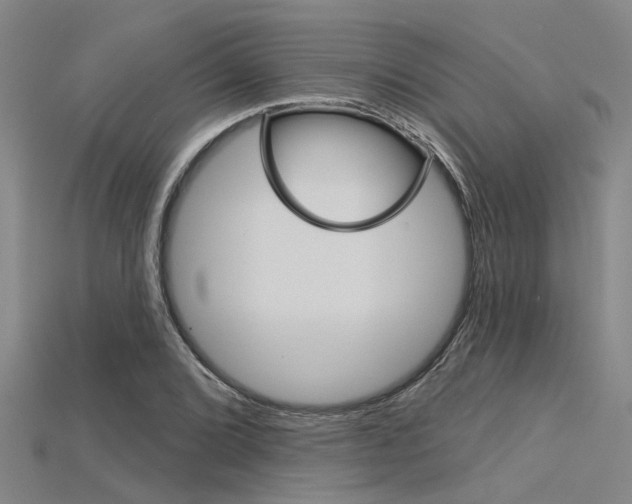X0000115831072200911131122