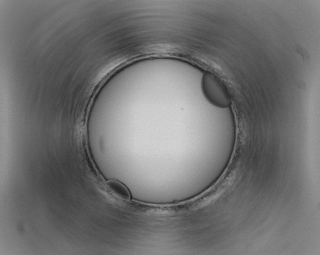 X0000115831073200911131122