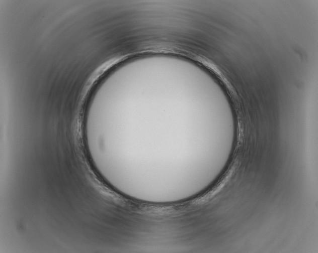 X0000115831074200911131122