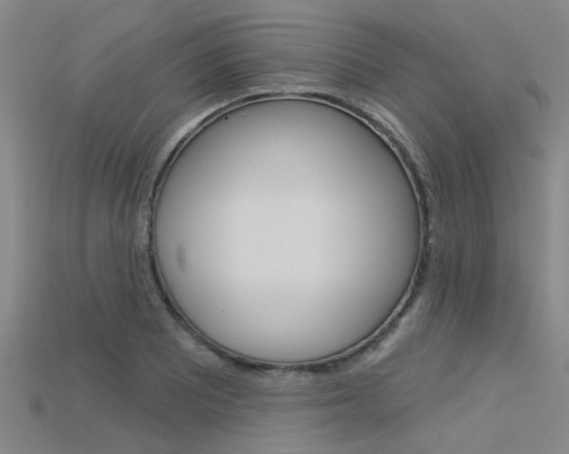 X0000115831081200911131122