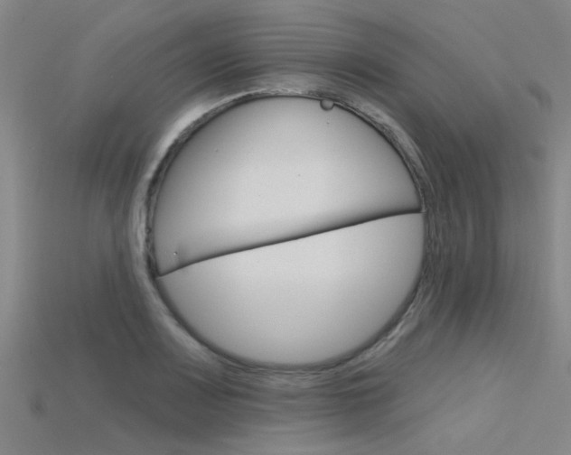 X0000115831083200911131122