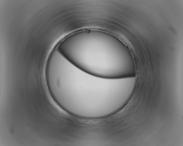 X0000115831084200911131122