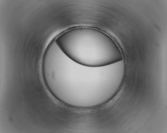 X0000115831085200911131122