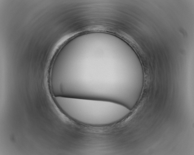X0000115831086200911131122