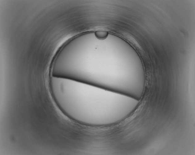 X0000115831087200911131122