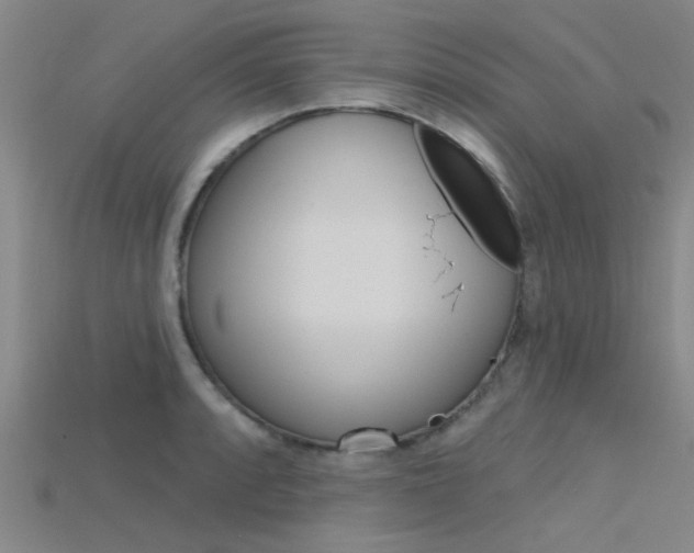 X0000115831088200911131122