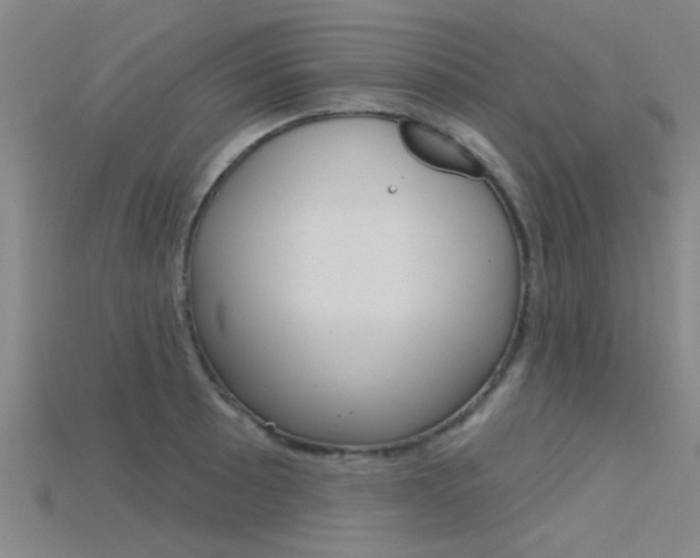 X0000115831089200911131122