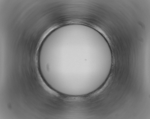 X0000115831090200911131122