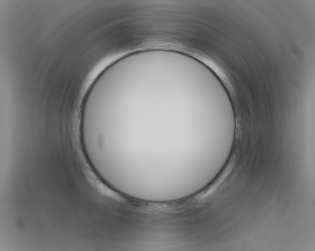 X0000115831094200911131122