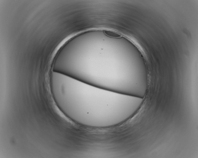 X0000115831100200911131122