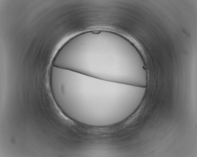 X0000115831102200911131122