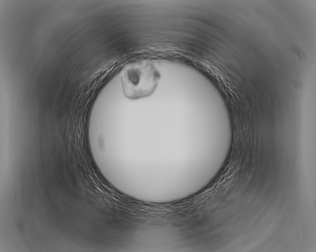 X0000115831110200911131121