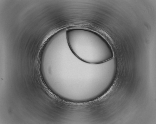 X0000115831114200911131121