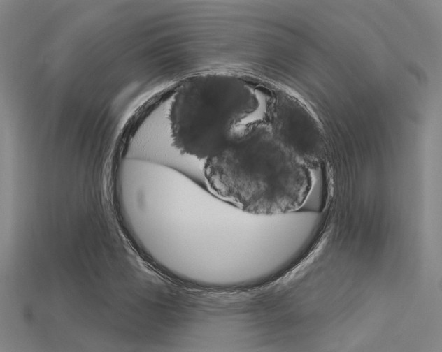 X0000115831117200911131121