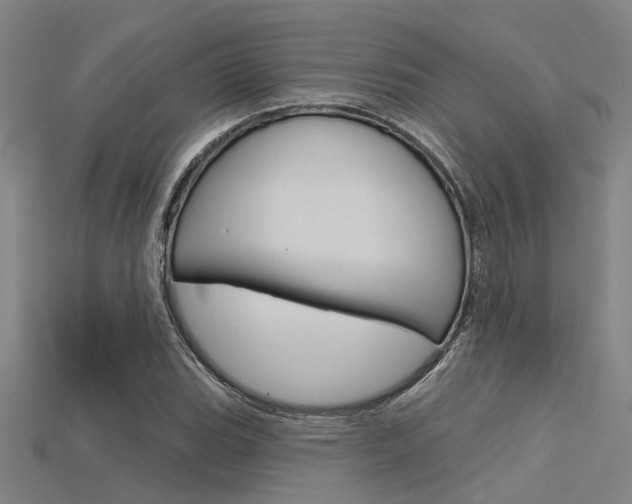 X0000115831119200911131121