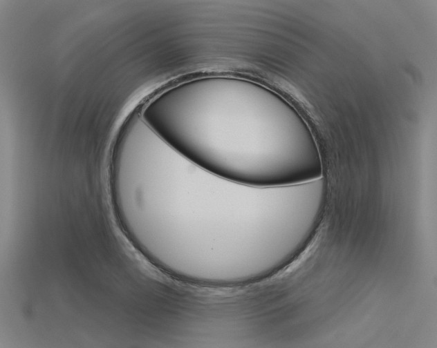 X0000115831122200911131122