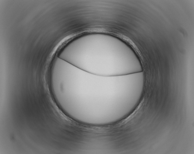 X0000115831123200911131122